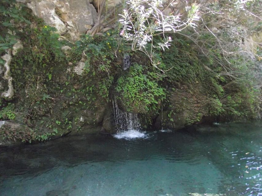 Kourtaliotiko Gorge: Guided River Trekking with Lunch - Banana Garden and the light lunch