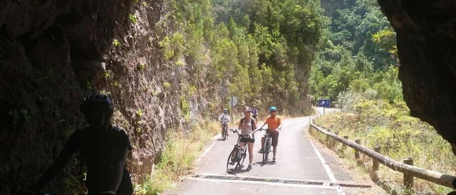 La Palma: Guided e-bike tour (trekking) - Key things to know before you book