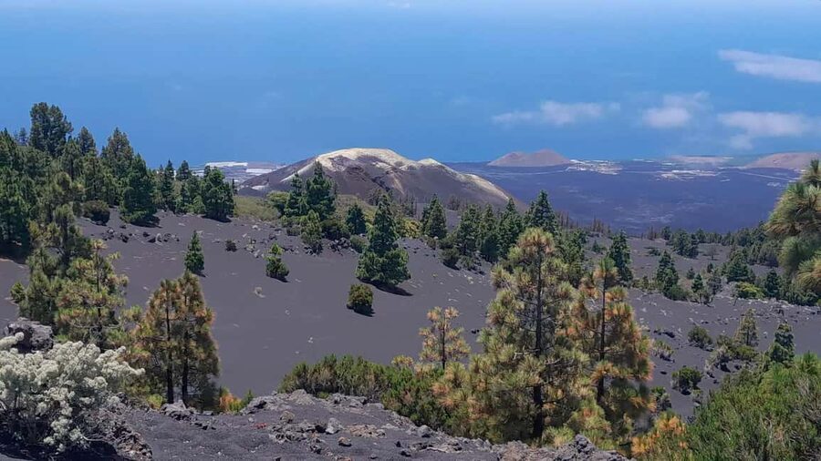 La Palma: Guided e-bike tour (trekking) - Starting at Los Cancajos near the port and airport