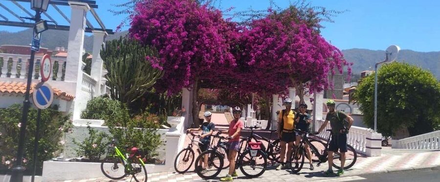 La Palma: Guided e-bike tour (trekking) - Choosing between east-coast sights and the Tajogaite volcano