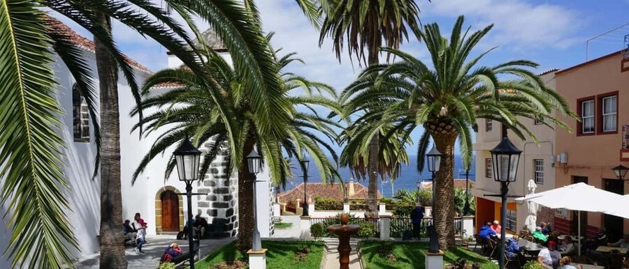 La Palma: Guided e-bike tour (trekking) - From coastal plants to the pine forest on the Cumbre