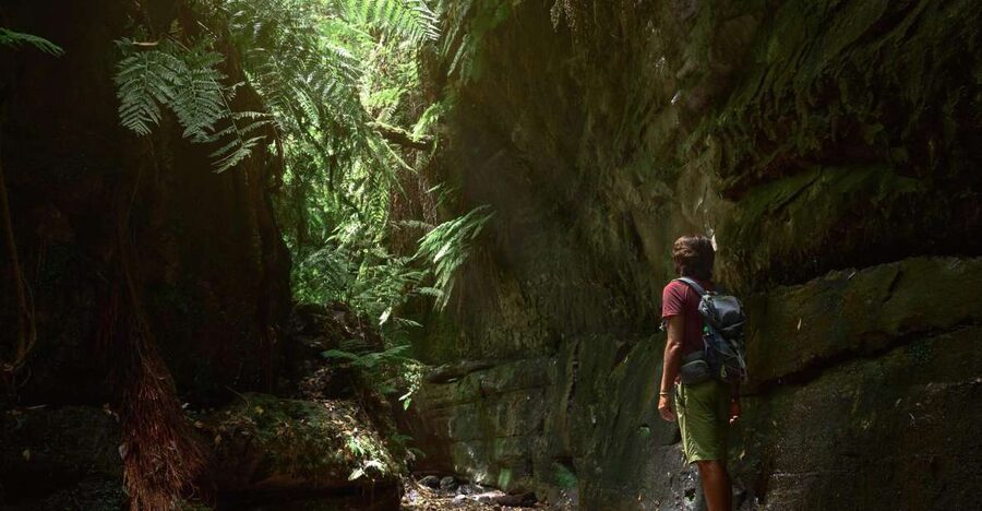 La Palma: Guided Trekking Tour To Cubo de la Galga - Why Cubo de la Galga feels older than the island around it