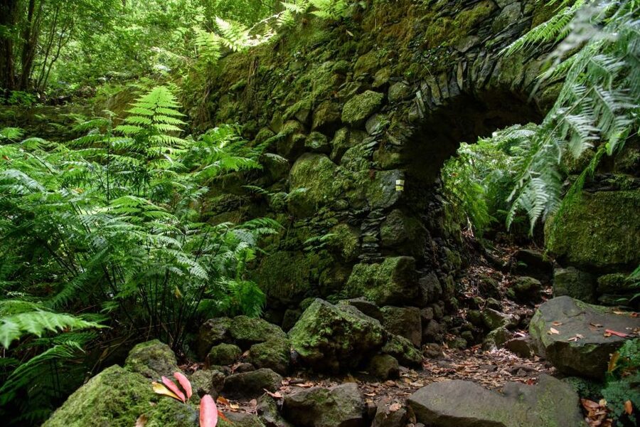 La Palma: Guided Trekking Tour To Cubo de la Galga - Descending to San Bartolo and El Salto del Enamorado