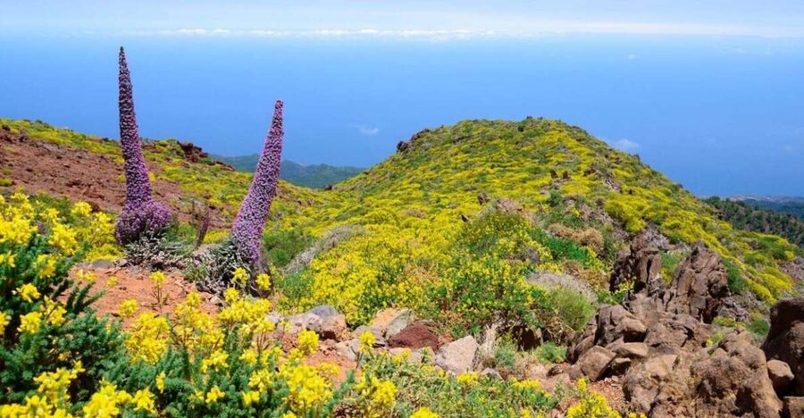 La Palma: Guided Trekking Tour to El Roque de los Muchachos - Starting near the Mirador de los Muchachos