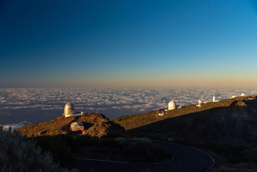 La Palma: Guided Trekking Tour to El Roque de los Muchachos - Summit plants and the high-country view