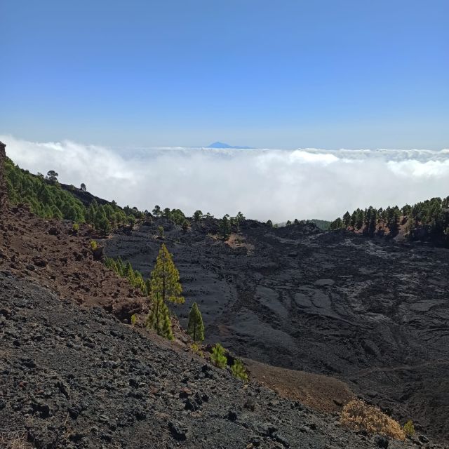 La Palma: Guided trekking tour to volcanoes south - Languages, guiding, and the human side of the walk