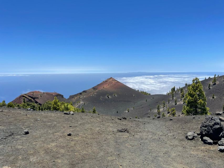 La Palma: Guided trekking tour to volcanoes south - Starting at El Pilar Refuge and climbing toward Birigoyo