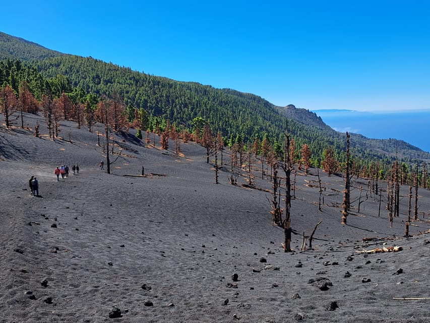 La Palma: Tajogaite Volcano Guided Trek - Key points to know before booking