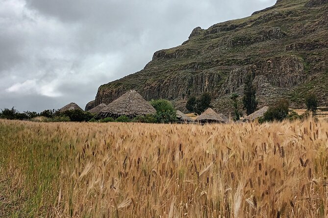 Lalibela 2-Day Eco Trekking Tour - Day two: five hours back to Lalibela