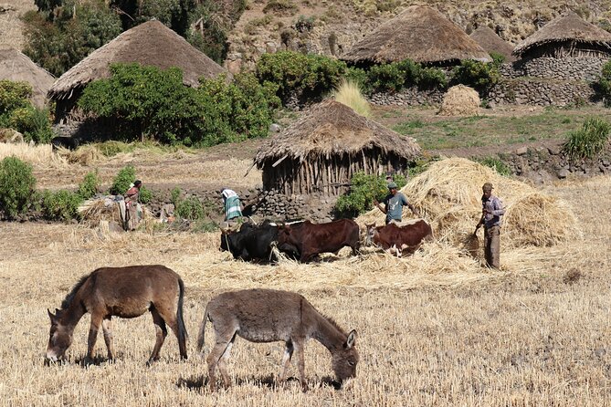 Lalibela 2-Day Eco Trekking Tour - What the $213.77 price covers