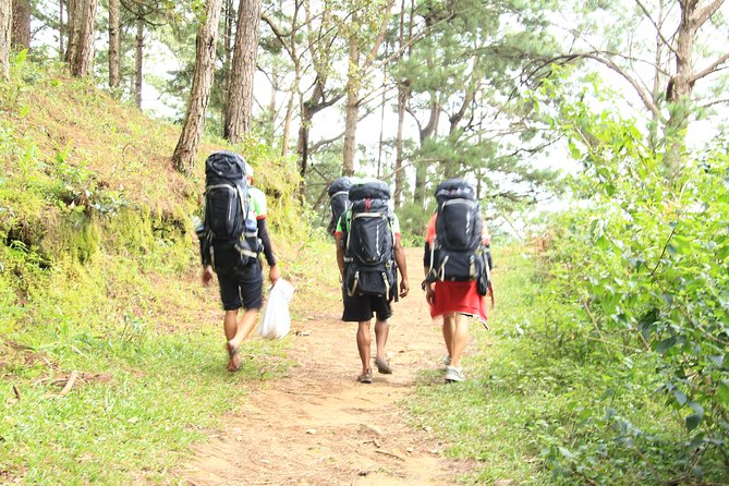 Langbiang Green Trekking Tours - Signature Trekking Da Lat - What the Langbiang Green Trek actually involves