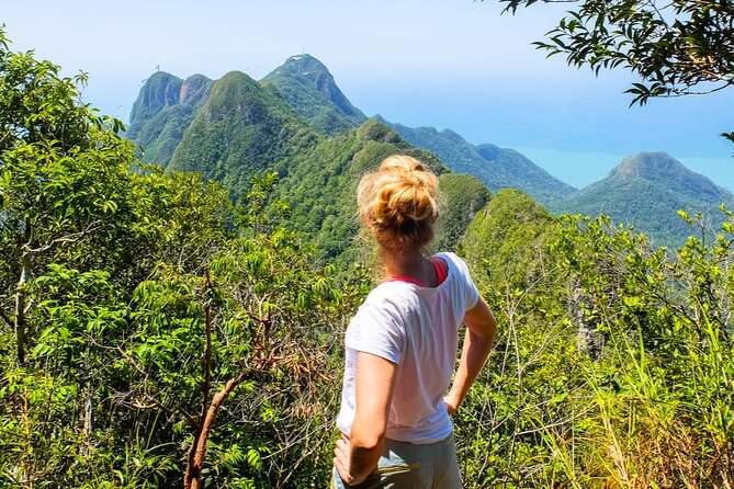 Langkawi Rainforest Jungle Trekking Tour with Private Pickup - What this Langkawi rainforest walk is really like