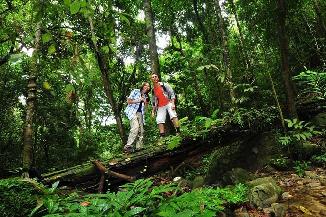 Langkawi Rainforest Jungle Trekking Tour with Private Pickup - A closer look at the two stops