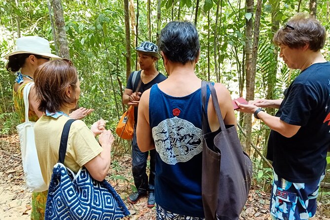 Langkawi Rainforest Jungle Trekking Tour with Private Pickup - Transport, group size, and the value of convenience