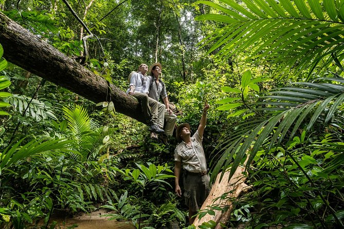 Langkawi Rainforest Jungle Trekking Tour with Private Pickup - Who will enjoy this and who should skip it
