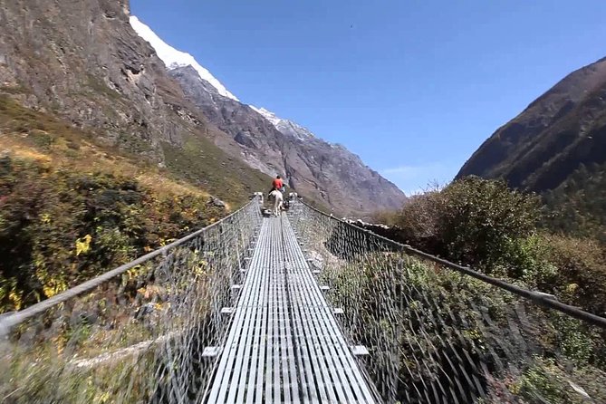 Langtang Valley Trek- 10 Days - Day 5: Reaching Kyanjin Gompa