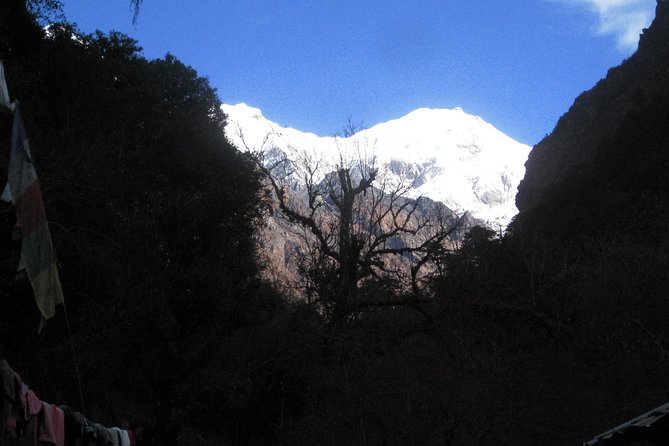 Langtang Valley Trek - Day 5: the short walk to Kyanjin Gompa