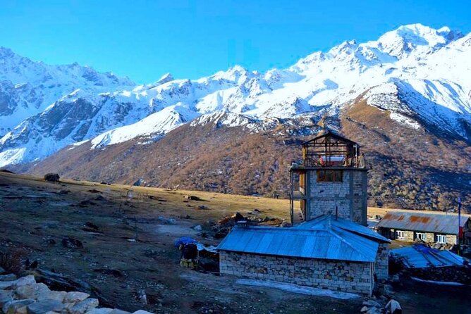 Langtang Valley Trek From Kathmandu - 8 Days - Day 5: A full day around Kyanjin Gompa