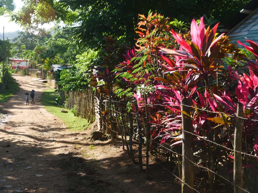 Las Terrenas: El Limón Waterfall Trekking Tour in Samana - Key points to know before booking