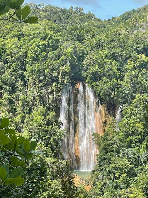 Las Terrenas: El Limón Waterfall Trekking Tour in Samana - Through cacao, coffee, and shady jungle