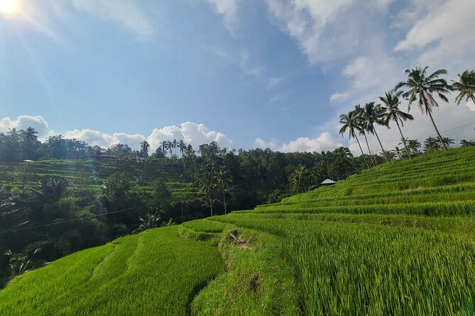 Lemukih Hidden Trekking Waterslide Sekumpul and Fiji Waterfall - What the $25.60 price really covers