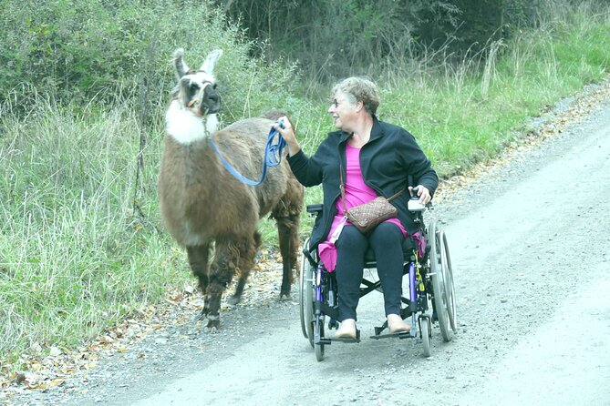 Llama Trek (Taster) - Kowhai River Valley and Native Woodland Tour - Who will enjoy this taster trek most?