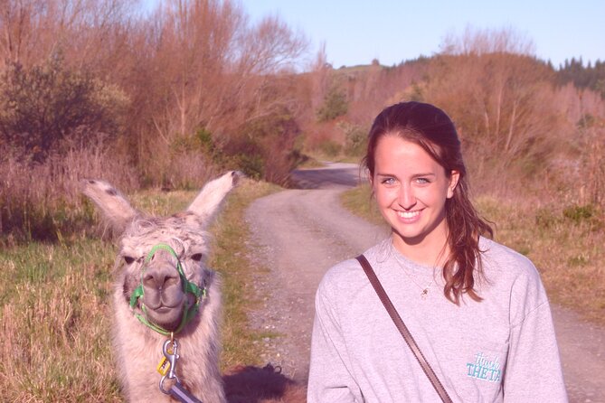 Llama Trek (Taster) - Kowhai River Valley and Native Woodland Tour - What the hands-on format is really like