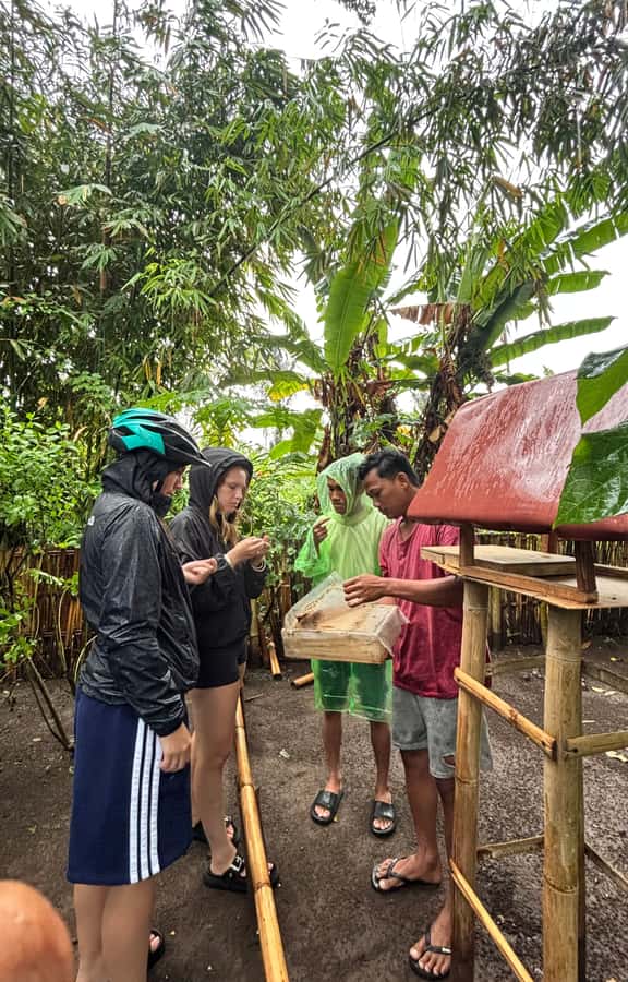 Lombok: Off-Road ATV Ride, Jungle Trek & Waterfall Escape - A short forest walk to Benang Stokel