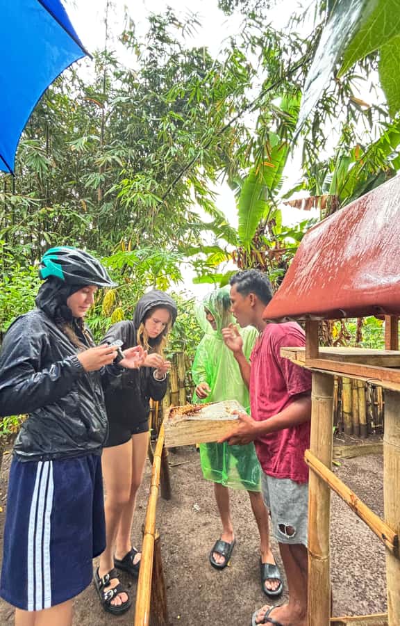 Lombok: Off-Road ATV Ride, Jungle Trek & Waterfall Escape - Traditional Lombok lunch after the active stops