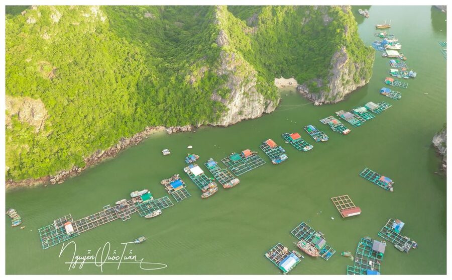 Long Trekking Catba national park, Lan ha bay full day trip - Key points to know before booking