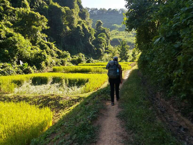 Luang Prabang: 3-Day Cultural Remote Trek With Homestay - Key points to know before you book