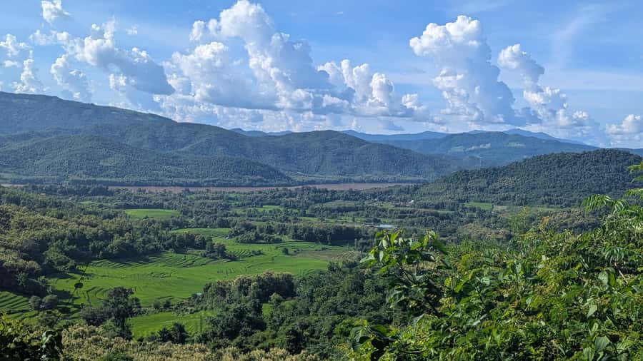 Luang Prabang: Full Day Trek to Kuang Si Waterfall & Village - Meeting the bears at the rescue center