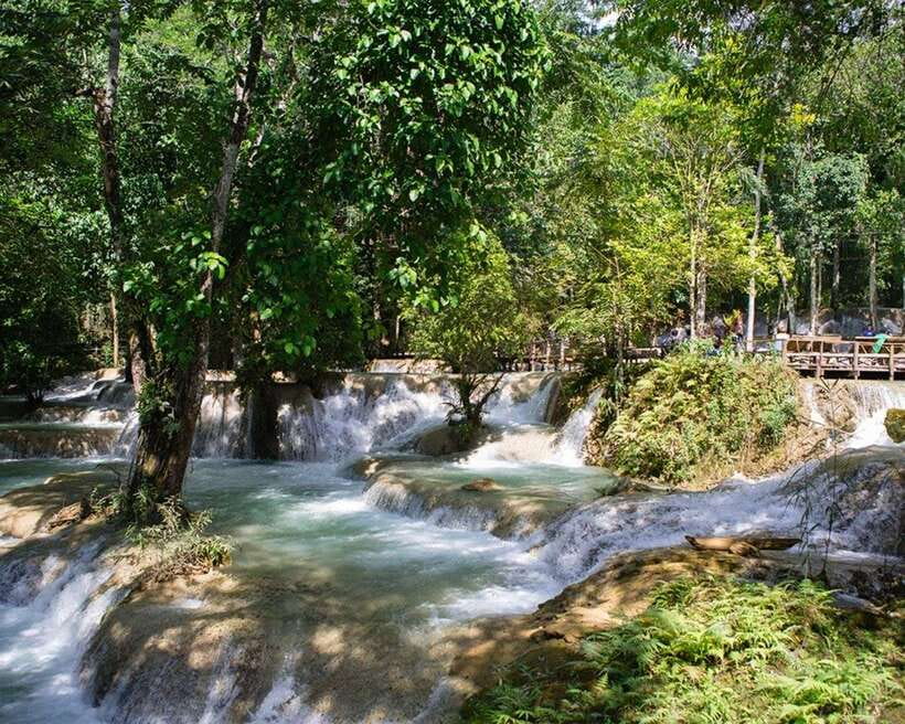 Luang Prabang Thin Pha Trail & Tad Sae Falls Trek - Walking Through Rice Paddies and Deciduous Forest