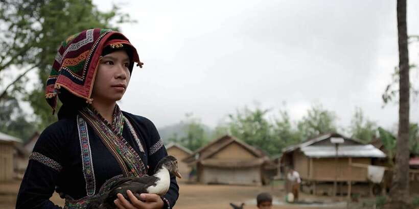 Luang Prabang Thin Pha Trail & Tad Sae Falls Trek - What $95 Includes and What It Does Not