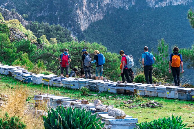 Lycian Way Trekking Tour (7 Days) - Day three: 18 kilometers beside the coast