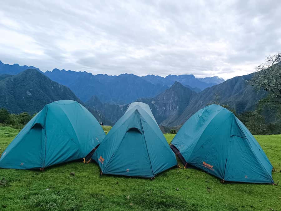 Machu Picchu: 5-Day Salkantay Trek with Panoramic Train - Day 5: Machu Picchu, then the panoramic train to Cusco