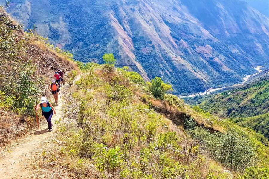 Machu Picchu: 5-Day Salkantay Trek with Panoramic Train - Who should book this trek?