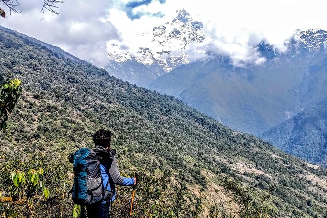 Madri Himal Trek - Day 4: Forest Camp to Low Camp and High Camp