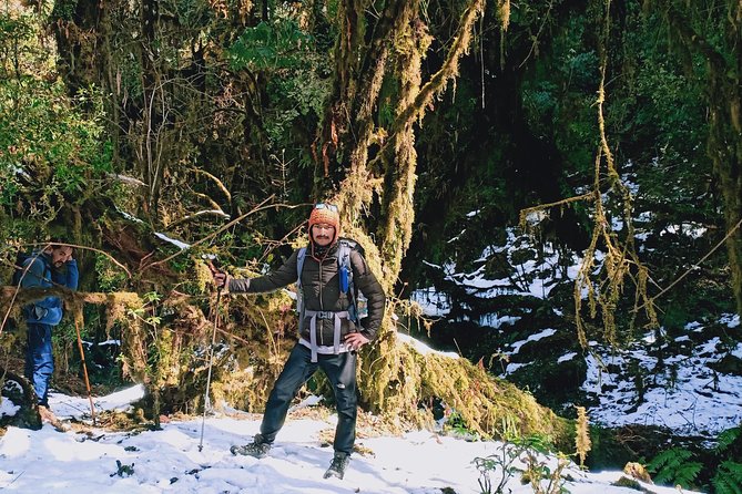 Madri Himal Trek - Day 5: Mardi Himal Base Camp at 4,500 meters