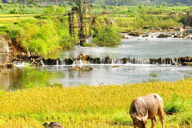 Mai Chau - Pu Luong trekking 3 days 2 nights - What river crossings and steep paths really mean