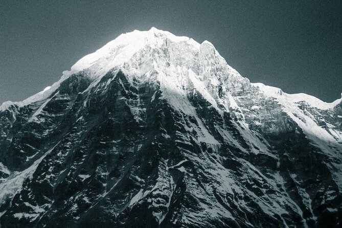 Makalu Base Camp Trek - Day 4: A long uphill through forest and meadow