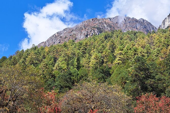 Makalu Base Camp Trek - Day 7: Rhododendron forest and river valleys