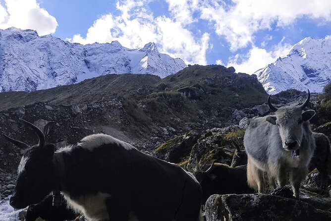 Manaslu Circuit Trek - Key points to know before you book