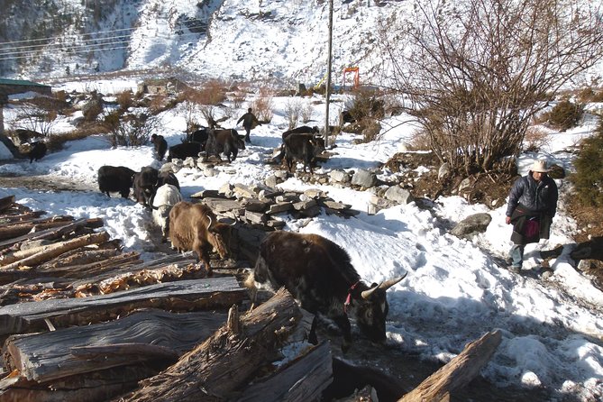 Manaslu Circuit Trek 17 Nights 18 Days - Days 6 to 8: Gurung villages, gorges, and first mountain views