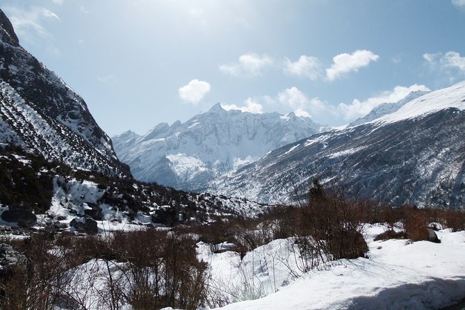 Manaslu Circuit Trek 17 Nights 18 Days - Days 15 and 16: Descending through forests to the Annapurna route