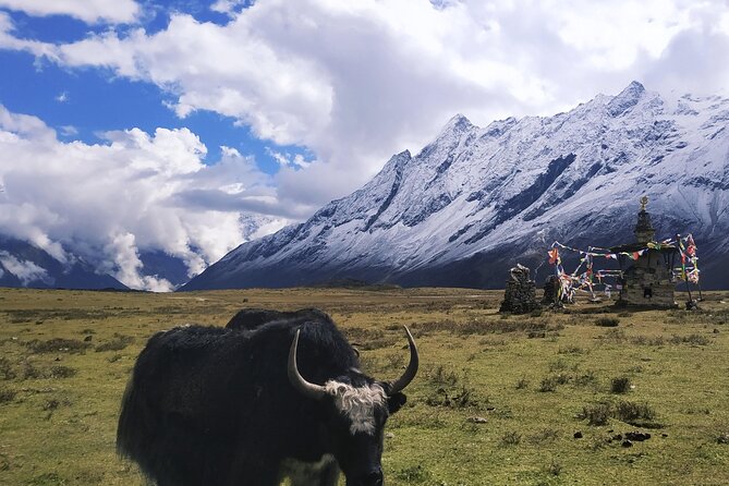 Manaslu Circuit Trek - Samagaon to Larkya Phedi: high valleys and thin air