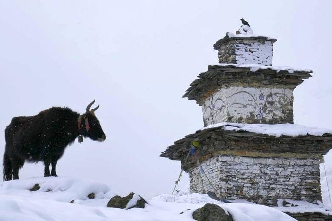 Manaslu Circuit Trekking - 17 Days - Samdo and Larkya Phedi, Days 11 and 12