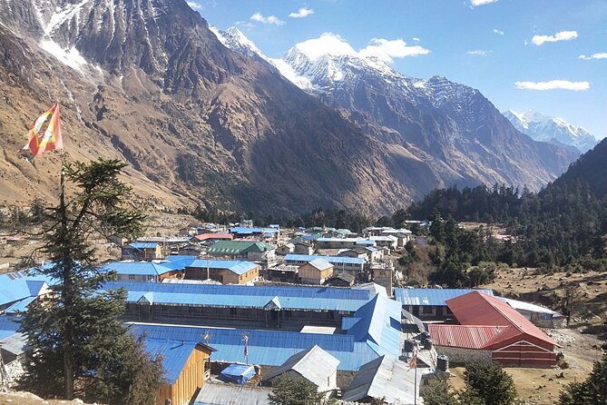 Manaslu Trekking - Days 13 and 14: Forest descent and the road home