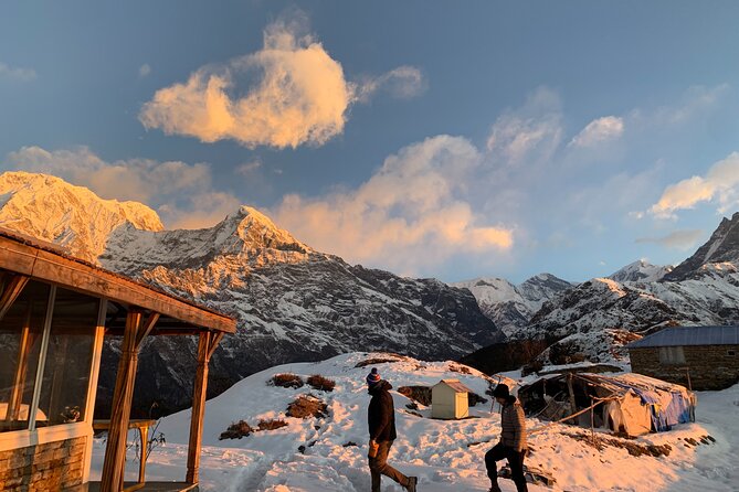 Mardi Himal Base Camp Trek - Forest Camp and the changing scenery