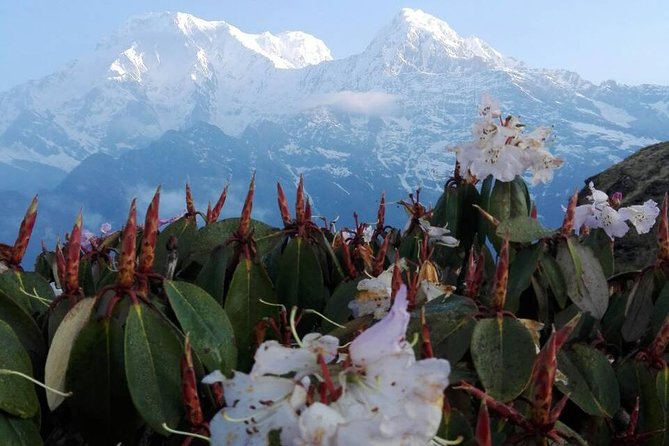 Mardi Himal Trek - 12 Days - What the four listed days actually cover